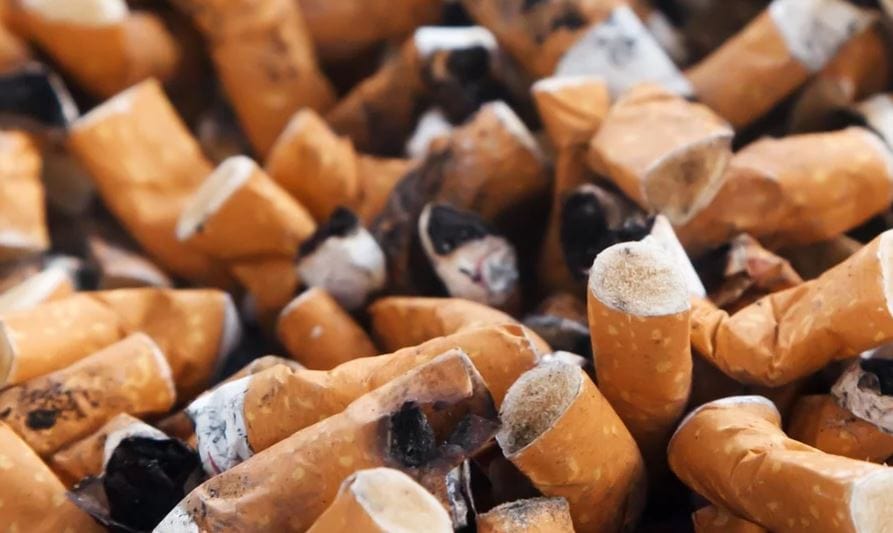 Cigarette Butts