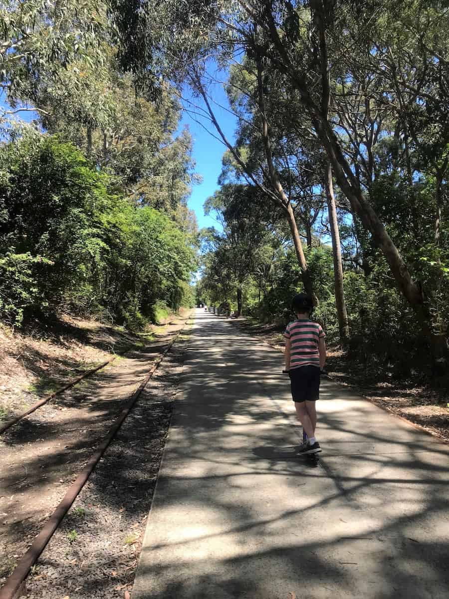 Fernleigh Track