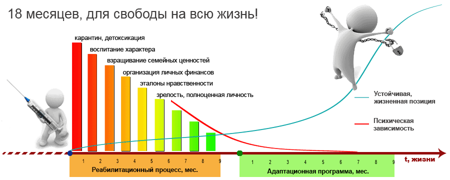 СТАДИИ ВЫЗДОРОВЛЕНИЯ СТАДИИ ВЫЗДОРОВЛЕНИЯ