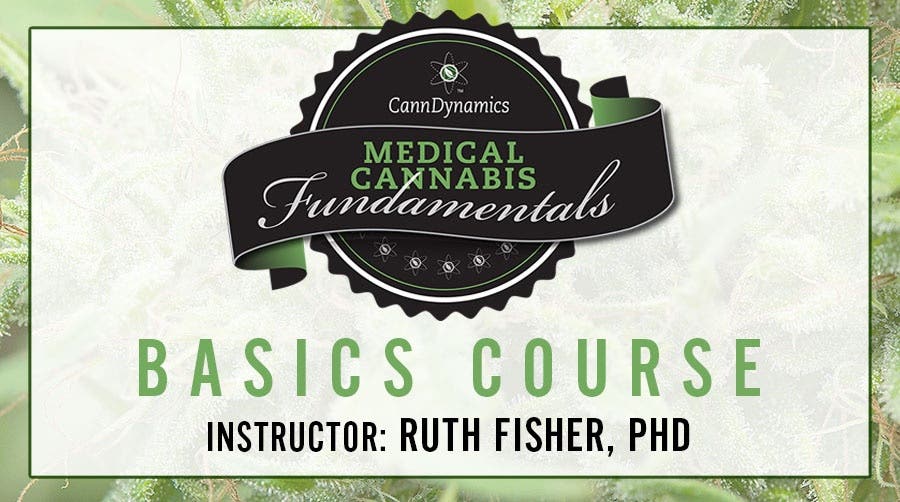 ruth basics-course