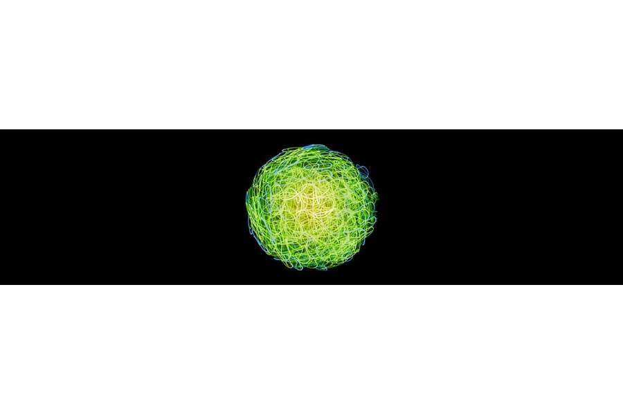 robotic-process-automation-deloitte robotic-process-automation-deloitte