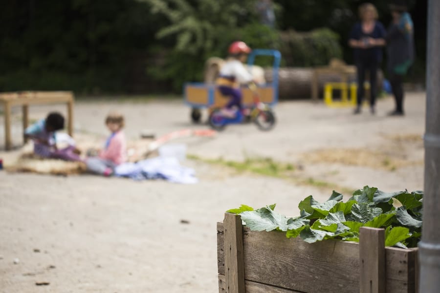 gls blog kooperative amares kindergarten