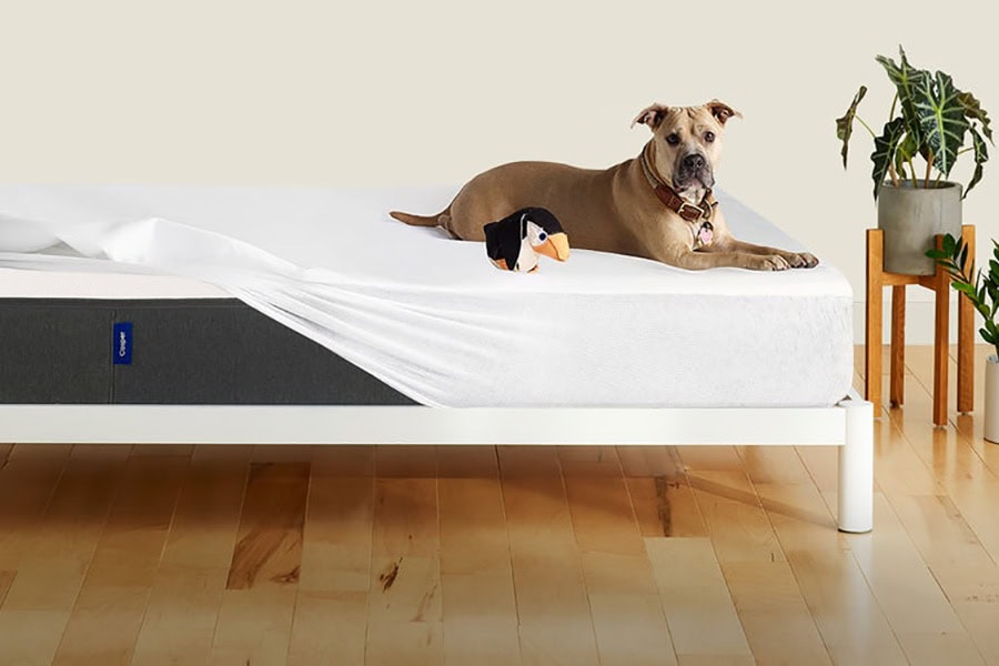 protege-matelas-casper-entretien protege-matelas-casper-entretien
