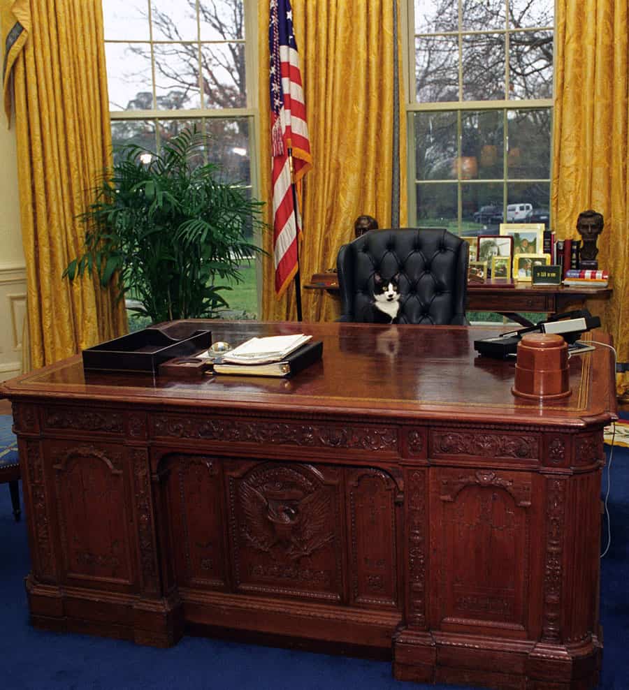Socks the cat sitting behind the Resolute Desk at the White House. Image: White House Photograph Office, 01/07/1994.