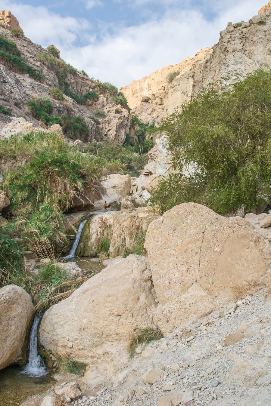 Oaza Ein Gedi w Izraelu.