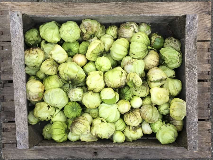 Tomatillos