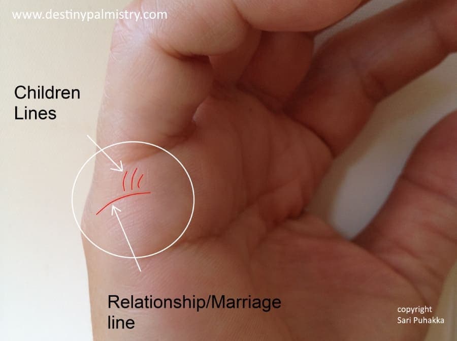 children lines, line of child, plam lines, best palm reader in the world