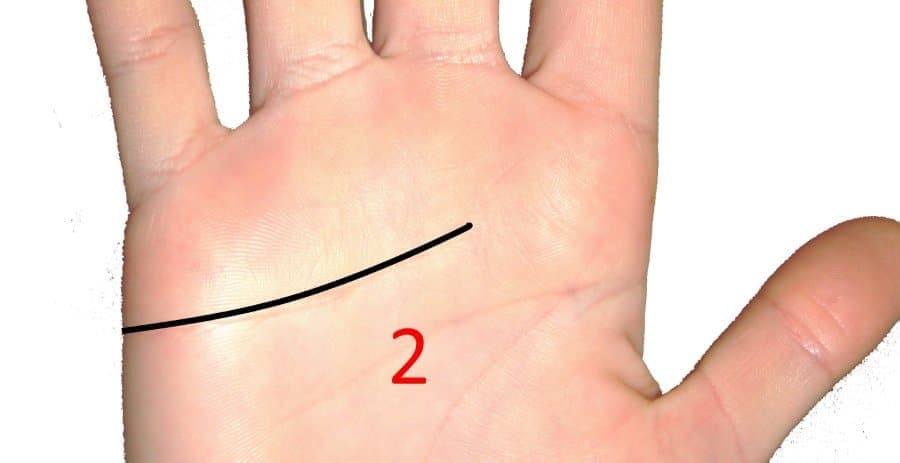 straight crease on palm