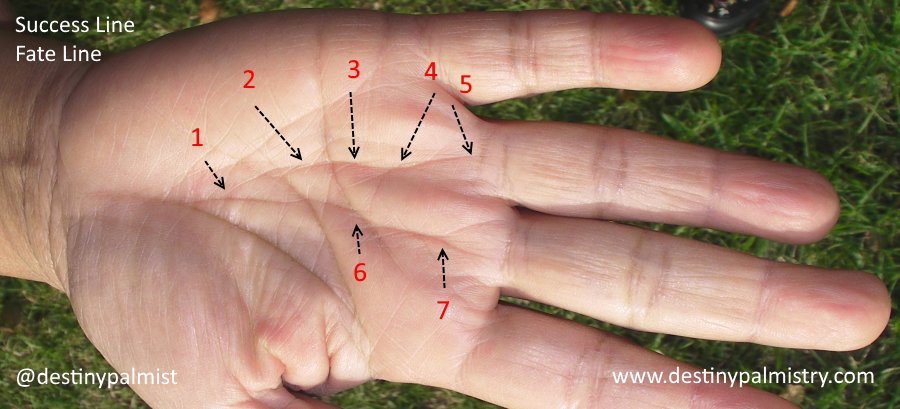 free palm reading, Success line, fate line, destiny