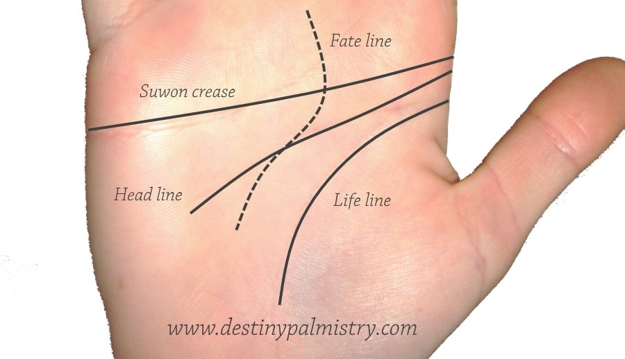 suwon crease, suwon line, strange palm lines