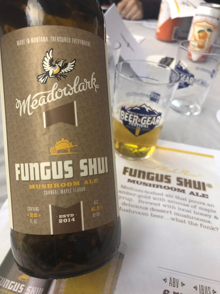 Fungus Shui from Meadowlark Brewing in Sidney, MT