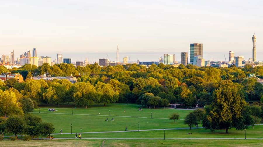 Primrose Hill