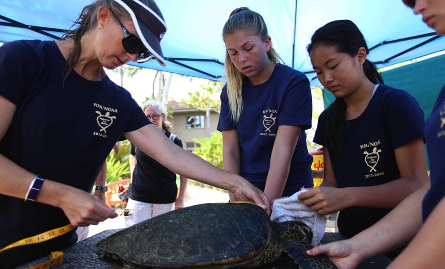 Laura Jim, HPA middle school science teacher, associate director Sea Turtle Research Program