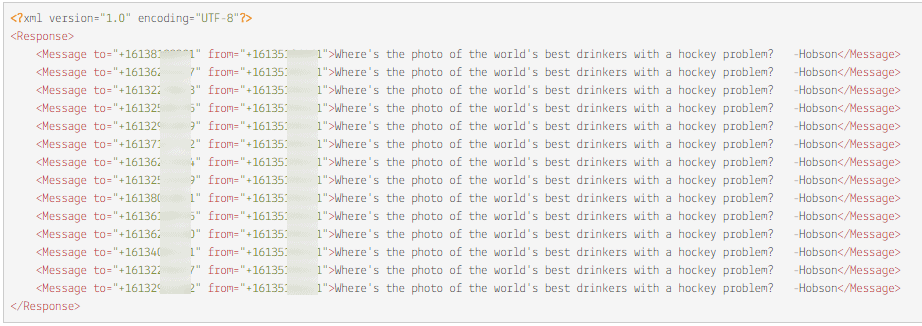 Twilio raw message