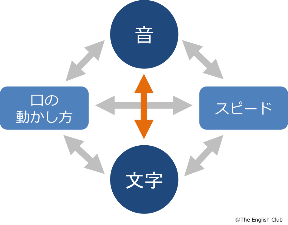 英語のリエゾン リンキング 3つの種類 詳細ルールと克服法