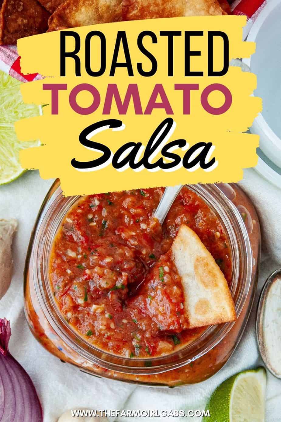 Roasted tomato and tomatillo salsa