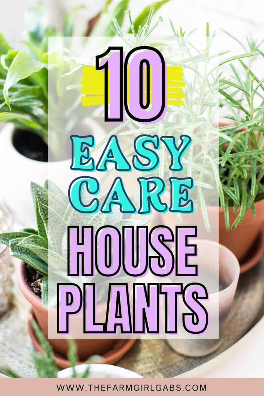 While some houseplants take a lot of time and upkeep, there are a variety of easy-care houseplants that are fairly maintenance-free. Do you have any of these low maintenance houseplants in your home?