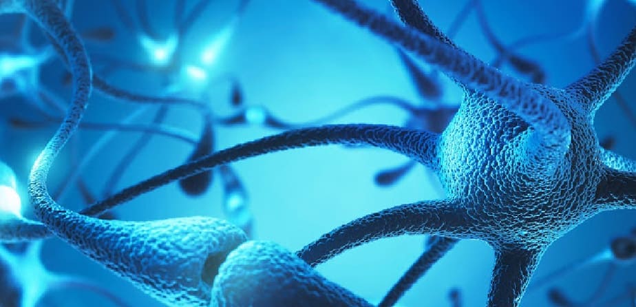 Neuromuscular Re-Education Masterclass