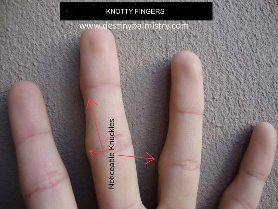 palmistry, hand reading, knotty fingers. knotted fingers. big knuckles. best palm reader. Australia's best palm reader. best palmistry website.