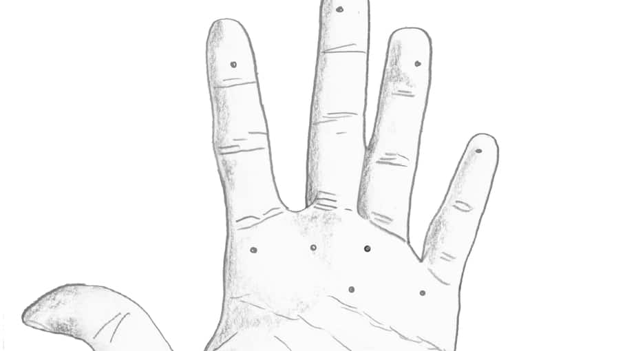 palm warts, best palm reader in the world, wart on palm meaning, warts palmistry