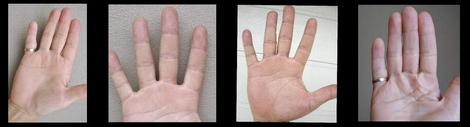 palm reading question, teaching ability, free palmistry, signs of success, billionaire signs
