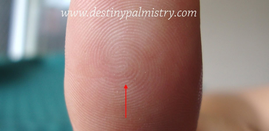 fingerprint meanings, whorl fingerprint, loop fingerprint
