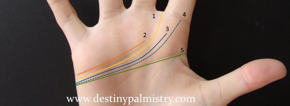 type of heart line, heart line types, passionate heart line, emotional line, palm love lines, heart line