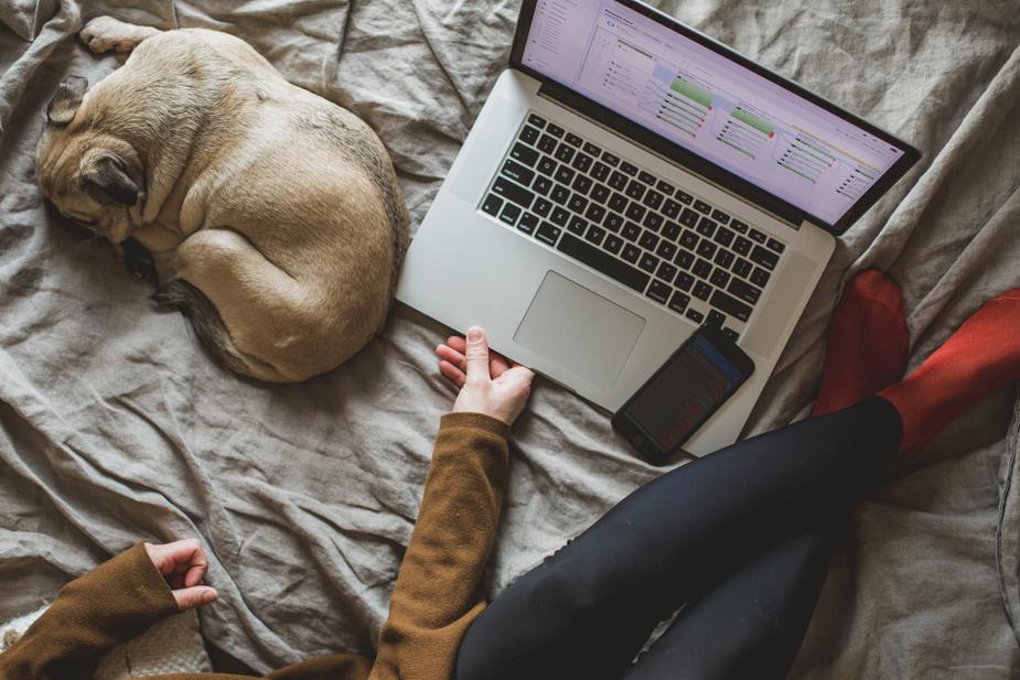Is My Pet Getting Enough Sleep?