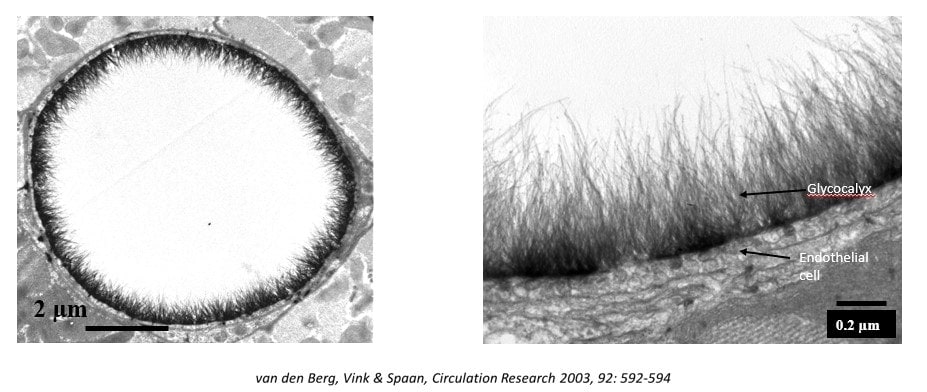 Microscopic image two angles