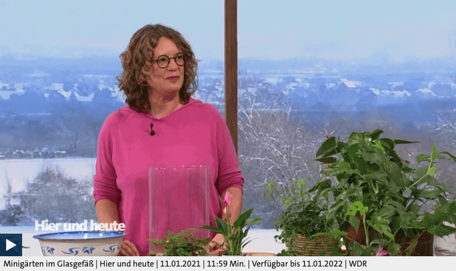 Minigärten im Glasgefäß, Anja Klein bei Hier und Heute