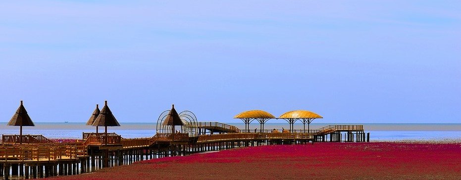 panjin red beach - China