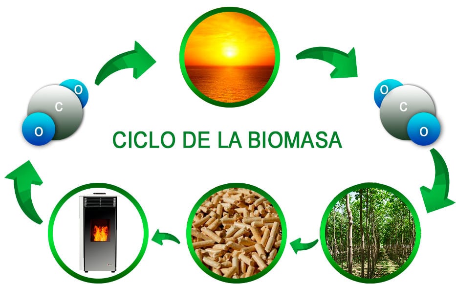 Estufas de biomasa energia renovable