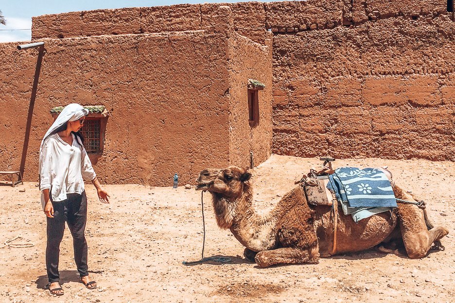 15 Important Things To Know Before You Travel To Morocco 5 L A woman stands facing a kneeling camel in Morocco