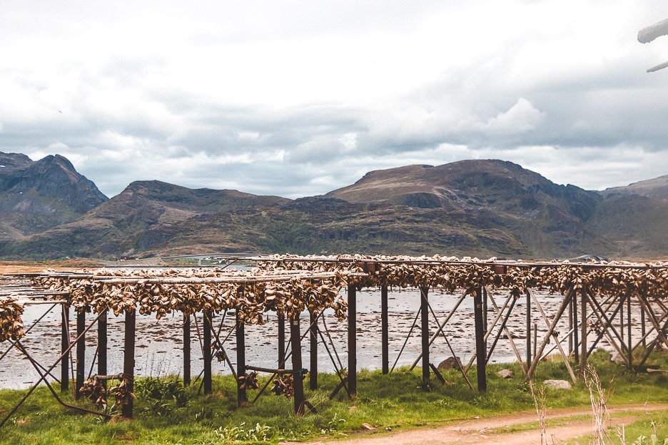 20 Amazing Photos of Norway That Will Leave You Breathless 6 L Fish hanging out to dry - Lofoten Islands - Norway