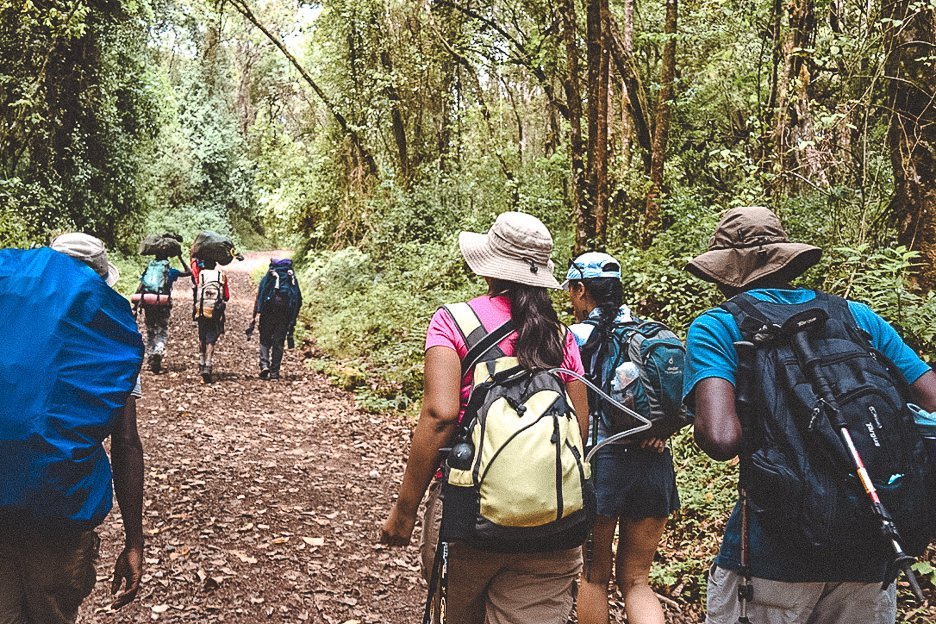 How I Summitted Kilimanjaro The Machame Route In 7 Days 3 L Porters and hikers walk through the rainforest of day 1 on the Machame Route