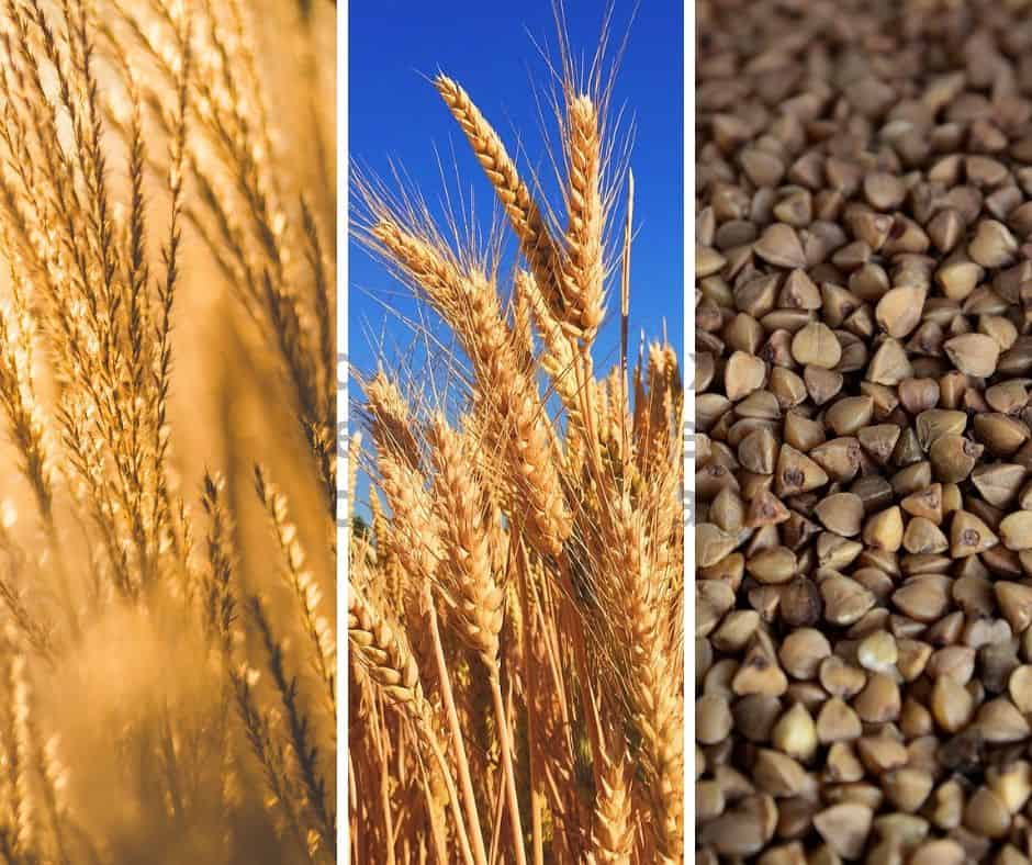 grains