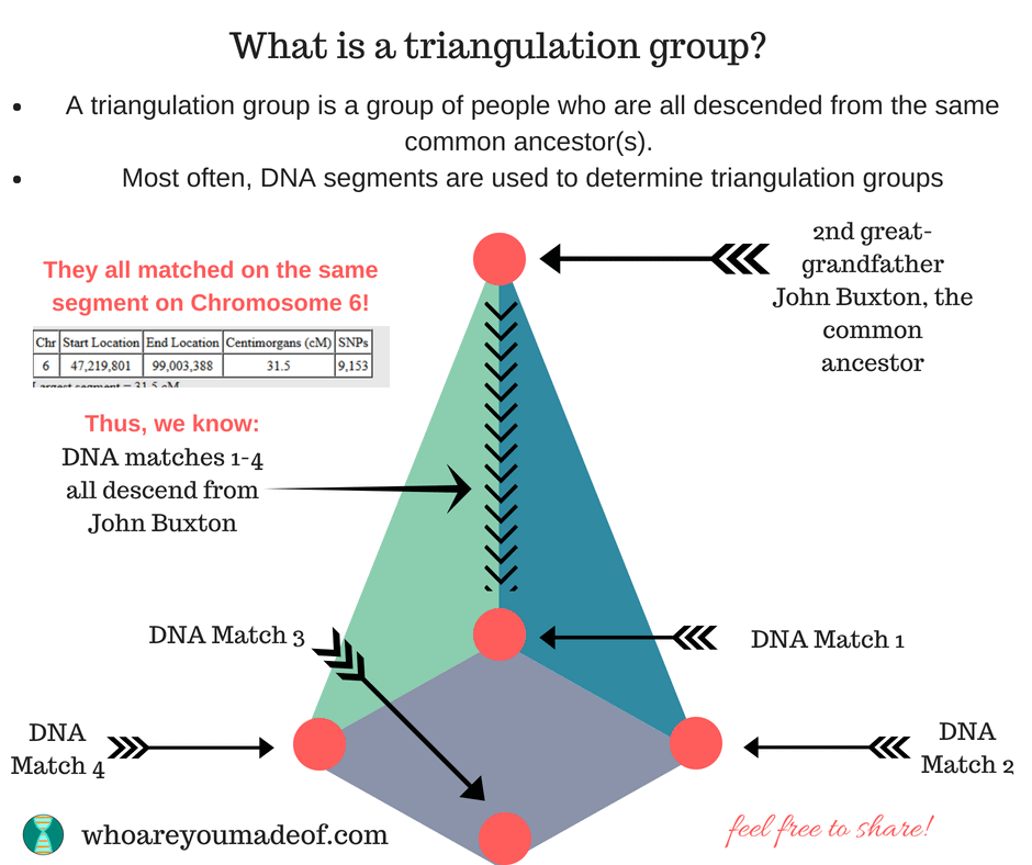 What is a triangulation group? A triangulation group is a group of people who are all descended from the same common ancestor. Most often, DNA segments are used to determine triangulation groups.