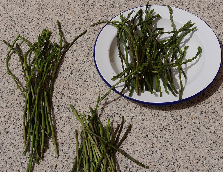 Spargel