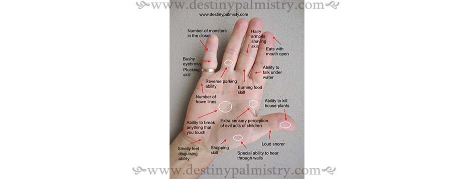 funny palmistry memes, palmistry jokes