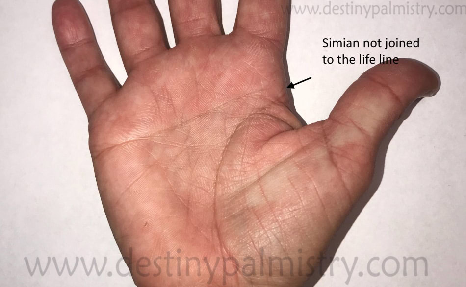 line seperate from the life line