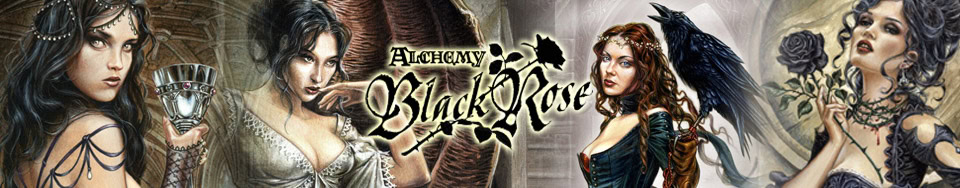 KOOK toimii lisensointiagentti -palveluntarjoajana Alchemy England. Huippu suosittu Alchemyn kuvapankki Black Rose.