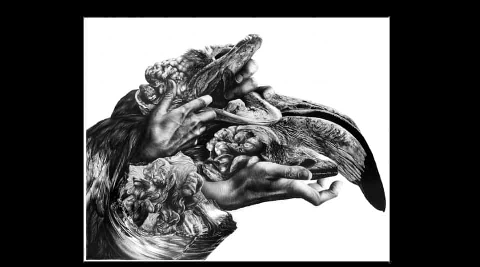 Ingrid Maillard - Graphite et Mythologie 1 ingrid maillard