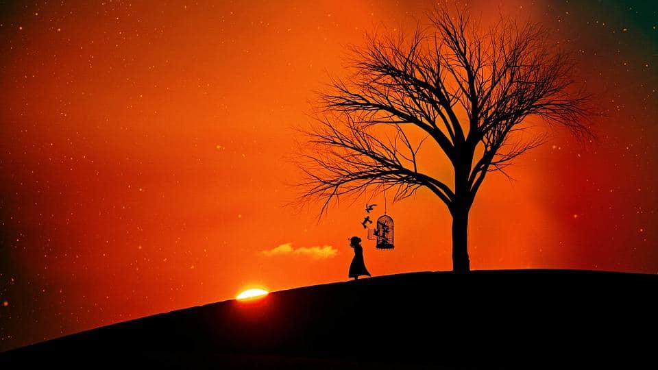 Thorough awareness of each stage of the narcissistic abuse cycle gives us a chance to act in ways to outsmart the narcissist and break the pattern of abuse.