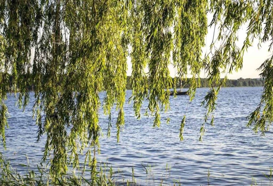 Urlaub Steinhuder Meer