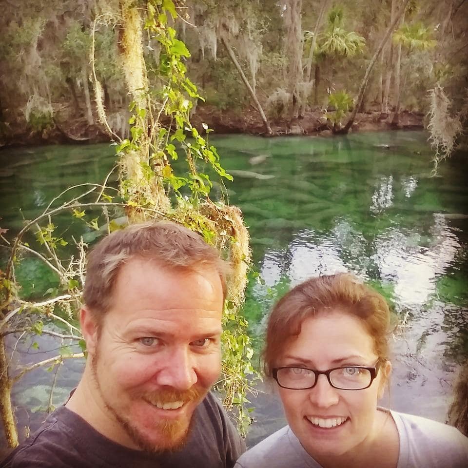 Manatees!! In real life!