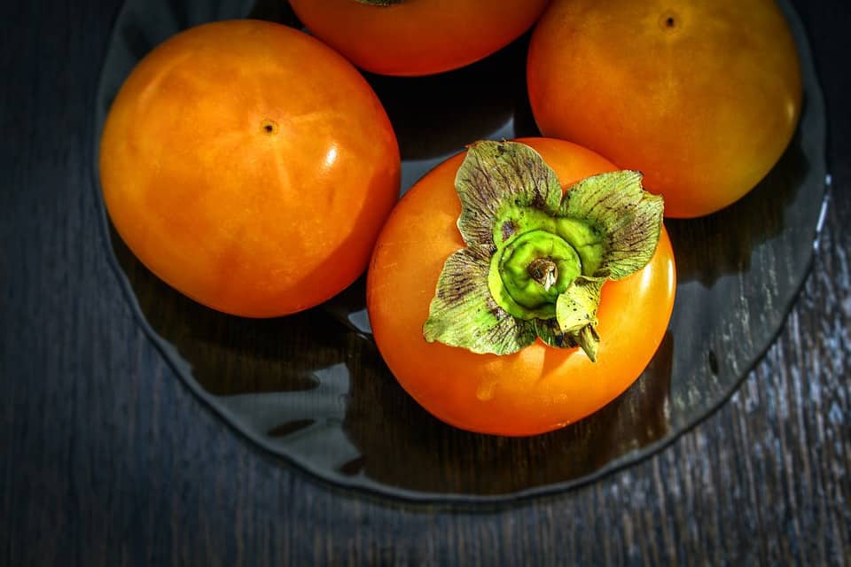 persimmon