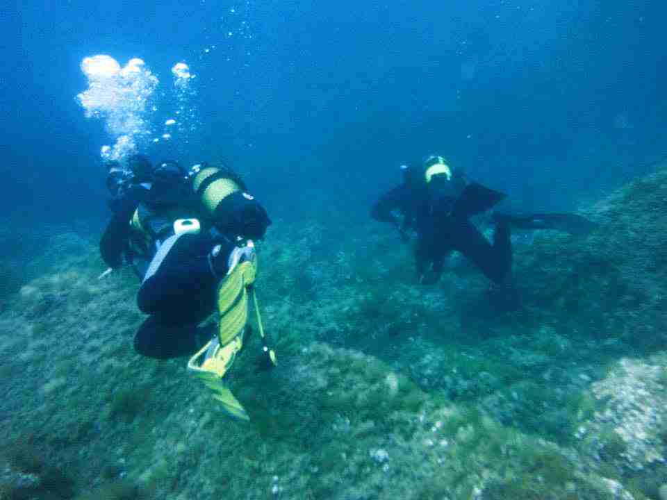 buceo (1) sumergidos en Jávea
