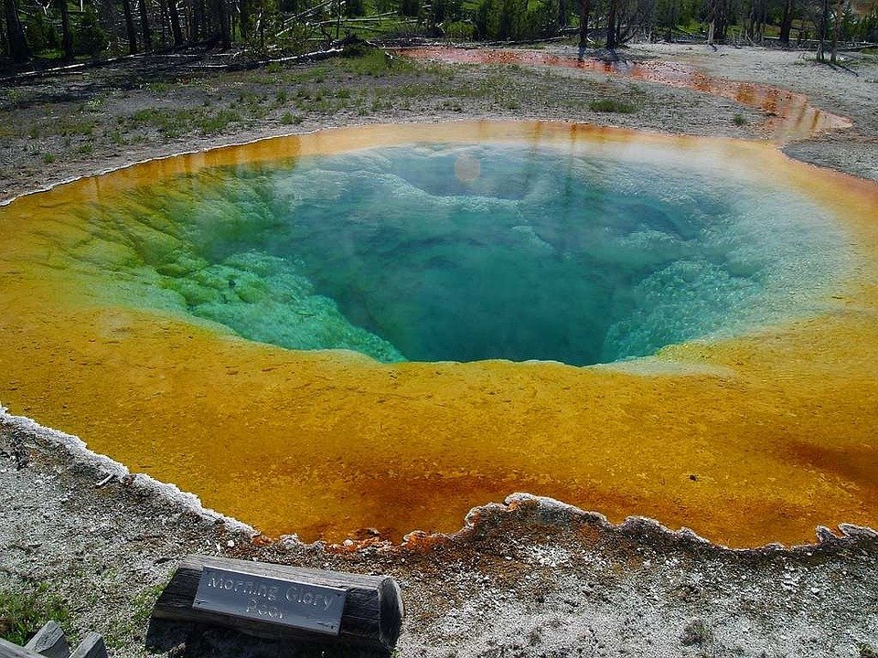 Morning Glory Pool - USA