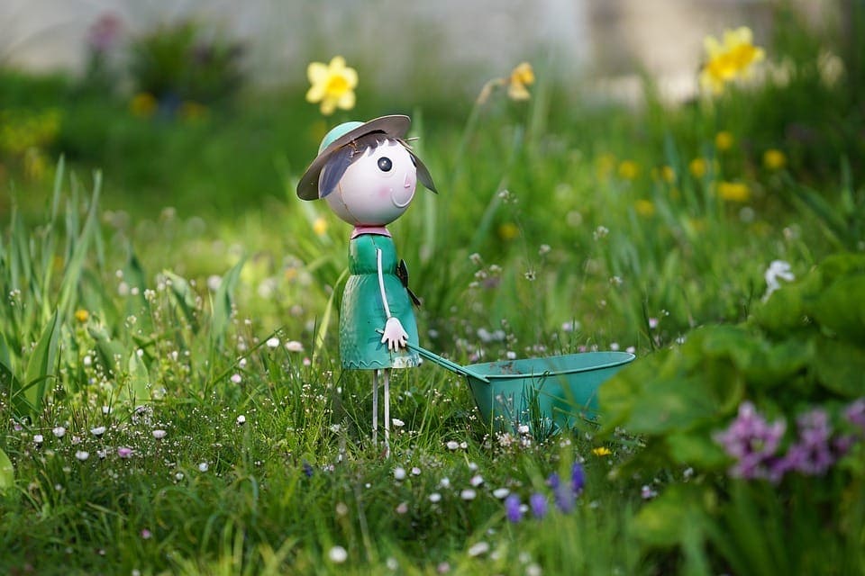 Jardin En Mars