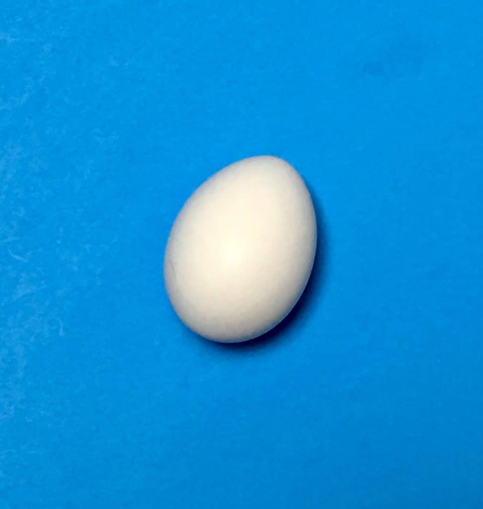 Mini Hatchimals Easter Egg